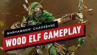 Warhammer: Chaosbane – Elessa (Wood Elf) Gameplay