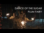 Dance of the Sugar Plum Fairy - Kosmosky Tank Drum (Танец Феи Драже, 5 глюкофонов)