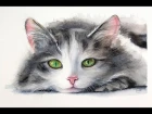 Cat Painting in Watercolor Fur and Whiskers