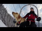 GoPro Awards: Telluride Avalanche Dogs