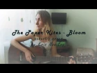 The Paper Kites - Bloom ( acoustic cover by Kris NoniEva)