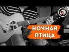 Ночная птица на одной гитаре | К.Никольский / Alex Mercy