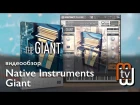 Native Instruments Giant  - видеообзор