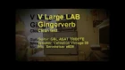 V Large LAB Gingerverb Clean test