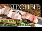 Дикая кухня - ЖАРЕНАЯ РЫБА НА КАМНЯХ | Cooking Fish With Hot Rocks lbrfz re[yz - ;fhtyfz hs,f yf rfvyz[ | cooking fish with hot