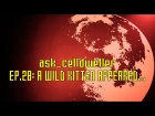 Ask Celldweller EP.28: A Wild Kitten Appeared...