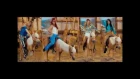 "Mariana Santos y bailarinas Brasileñas". Escenas con Pony. Version Extendida.