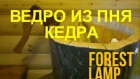 Как сделать ведро из пня кедра  с прозрачным дном своими руками-ЭКСПЕРИМЕНТ! с ак...