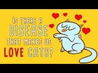Is there a disease that makes us love cats? - Jaap de Roode