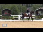 Hartpury FOD 2014: Carl Hester and Nip Tuck