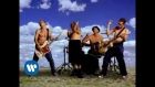 Red Hot Chili Peppers - Californication [Official Music Video]
