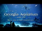 Georgia Aquarium - Ocean Voyager Tank (HD)