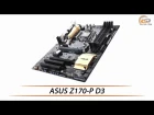 ASUS Z170-P D3 - обзор материнской платы