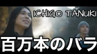 「日本語とロシア語」ICHIGO TANUKI - 百万本のバラ