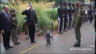 Sir Nils Olav promoted to Brigadier by Norwegian King's Guard