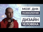 Что такое человек? Мозг. ДНК. Предназначение. Дизайн Человека. Даниил Трофимов. Human Design