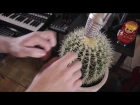 Gourski - Back Home [Cactus Meets Drum&Bass vol.2]