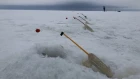 Ловля корюшки на Финском заливе | Дамба | Южная сторона