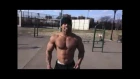 King Gator - Workout Motivation [Inspirational Video]