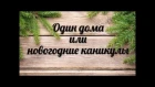 Один дома или кто ты в новогодние каникулы?