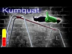 How to KUMQUAT/ PING BACK tutorial