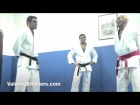 Helio Gracie on the Jiu-Jitsu Belt System