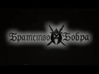 Братство Бобра - Король Бобров (Official video)