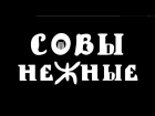 Совы Нежные