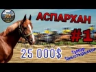 Бәйге Аты - АСПАРХАН - 25 000$ - Тұлпар Таныстырылым || About Horses