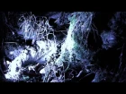 Factory Floor "Wave" (Official Video) - DFA RECORDS