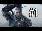 LET THE HUNT BEGIN! - The Witcher 3: Wild Hunt - Walkthrough / Playthrough / Gameplay- Part 1