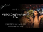 Миф о митохондриальной Еве. Мифы об эволюции человека. vba j vbnj[jylhbfkmyjq tdt. vbas j, 'djk.wbb xtkjdtrf.