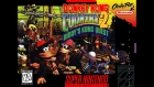 Donkey Kong Country 2: Diddy’s Kong Quest. SNES. Full Game Walkthrough (All Bonus Levels)