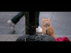 Уличный кот по имени Боб / A Street Cat Named Bob (2016) Трейлер HD