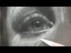 Artist Daily Presents Drawing the Eye with David Jon Kassan