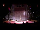Кане Корсо в цирке Cane Corso in the circus