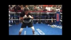 GGG Gennady Golovkin SHADOW BOXING vs Danny Jacobs