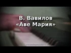 Владимир Вавилов - Аве Мария