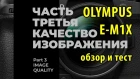 Olympus OM-D E-M1X - часть 3 - Качество изображения