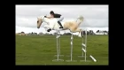 "Free Riding" Jumping Alycia Burton