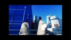 Mirror's Edge Trailer