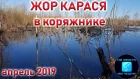 ЛОВЛЯ КАРАСЯ ВЕСНОЙ НА ПОПЛАВОЧНУЮ УДОЧКУ в коряжнике. Рыбалка на карася 2019