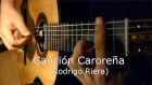 Yoo Sik Ro (노유식) plays "Canción Caroreña" by Rodrigo Riera