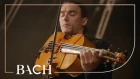Bach - Cello Suite No. 6 in D major BWV 1012 - Malov | Netherlands Bach Society