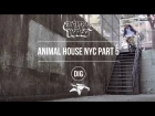 Animal House NYC - Part 5 - Matt Miller, Dan Lacey & More...