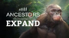 Ancestors: The Humankind Odyssey - 101 Trailer EP2: Expand
