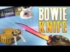 ОТКРЫВАЕМ BOWIE KNIFE  - ОТКРЫТИЕ НОВЫХ WILDFIRE CASE В CS GO !