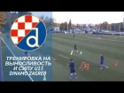 Тренировка на выносливость и силу   Dinamo Zagreb U15