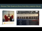 Orange Tree Samples Evolution Hollowbody Blues