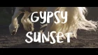 Gypsy Sunset | Gypsy cob Hermits Titanium & Arina Libontova